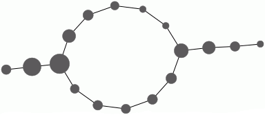 Mapper graph