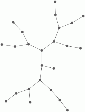 Fundamental region in the cubic tree